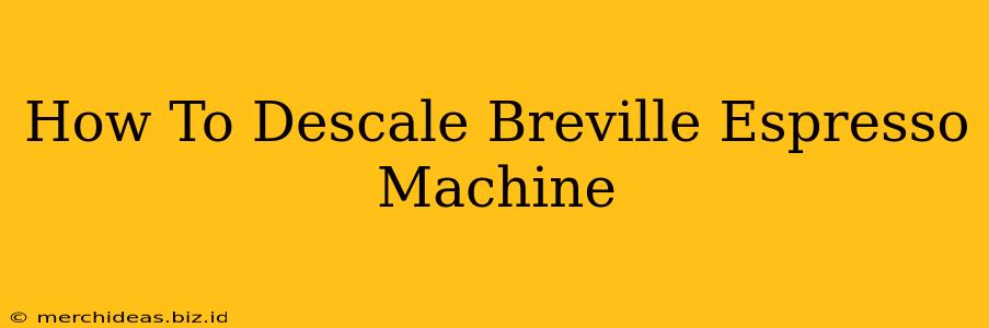 How To Descale Breville Espresso Machine