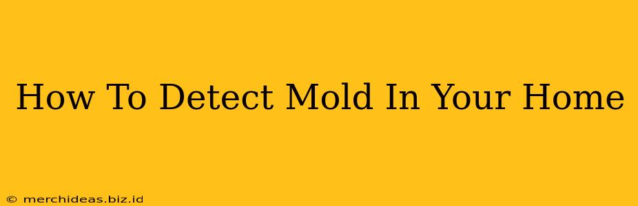 How To Detect Mold In Your Home