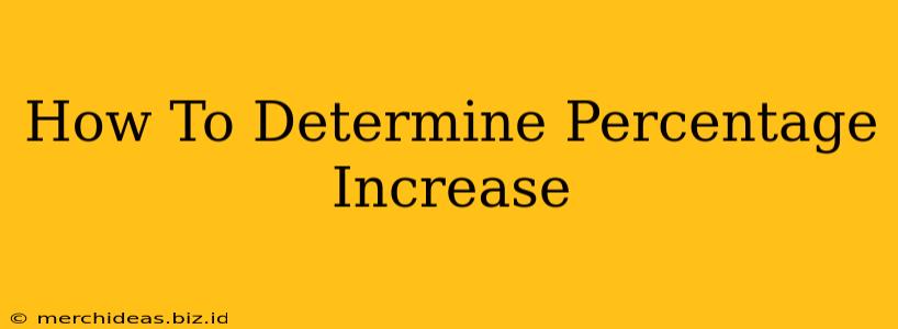 How To Determine Percentage Increase