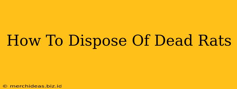 How To Dispose Of Dead Rats