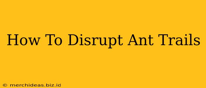 How To Disrupt Ant Trails