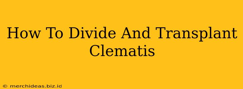How To Divide And Transplant Clematis