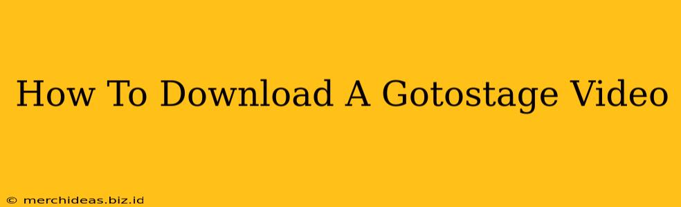 How To Download A Gotostage Video