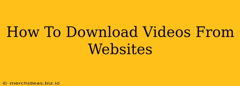 How To Download Videos From Websites