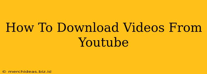 How To Download Videos From Youtube