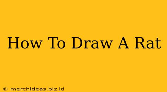 How To Draw A Rat