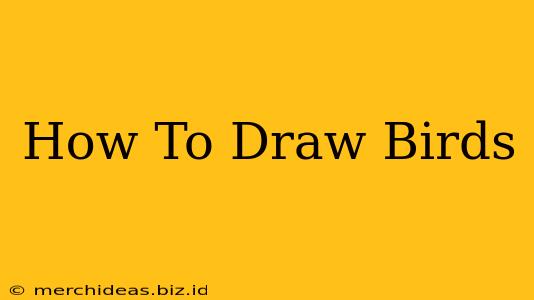 How To Draw Birds