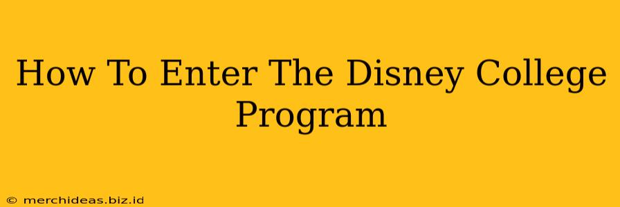 How To Enter The Disney College Program