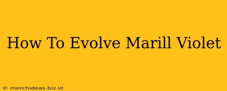 How To Evolve Marill Violet