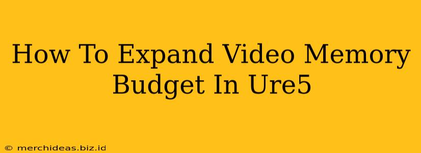 How To Expand Video Memory Budget In Ure5