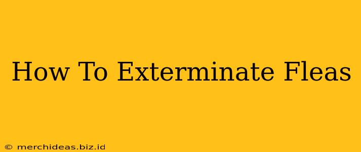 How To Exterminate Fleas