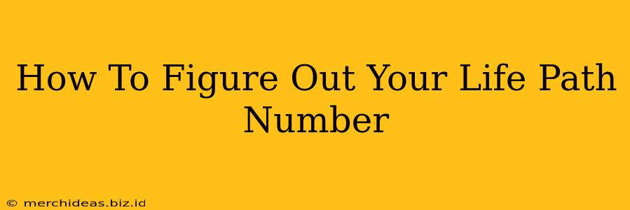 How To Figure Out Your Life Path Number