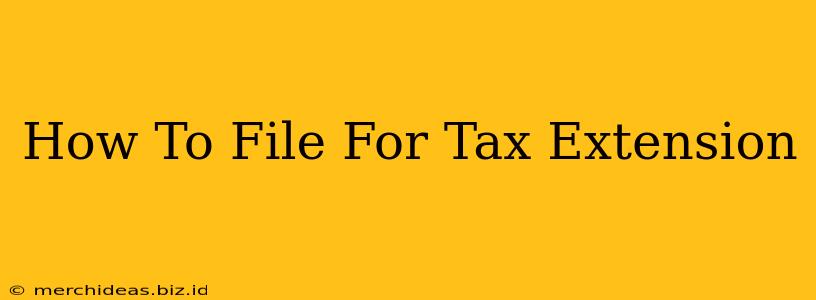 How To File For Tax Extension