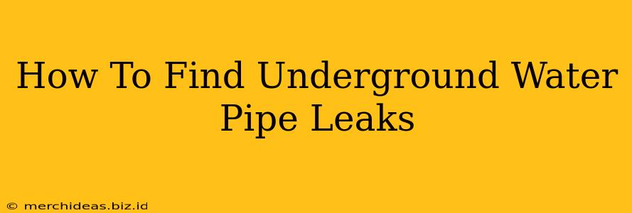 How To Find Underground Water Pipe Leaks