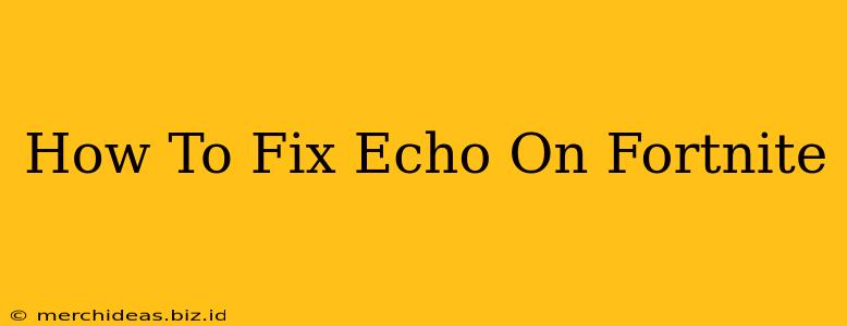 How To Fix Echo On Fortnite