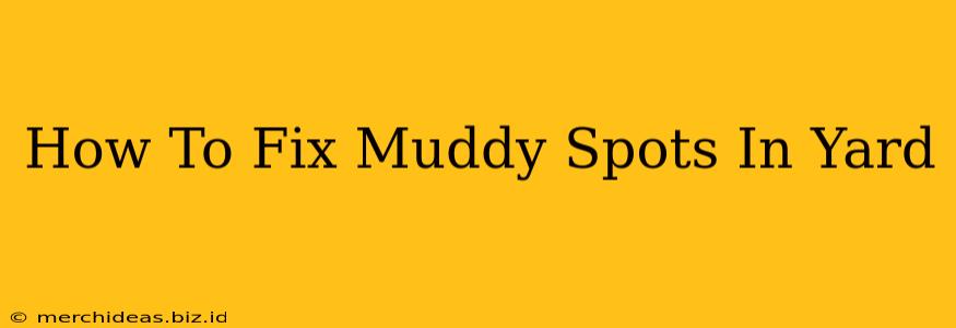 How To Fix Muddy Spots In Yard
