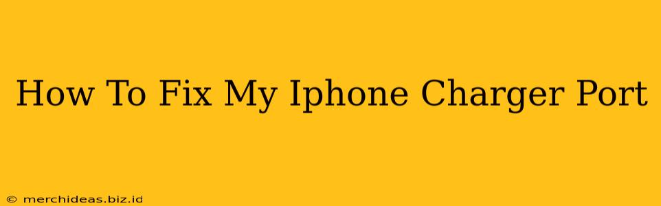 How To Fix My Iphone Charger Port
