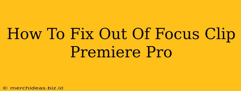 How To Fix Out Of Focus Clip Premiere Pro