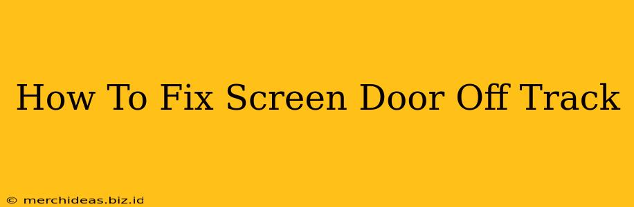 How To Fix Screen Door Off Track