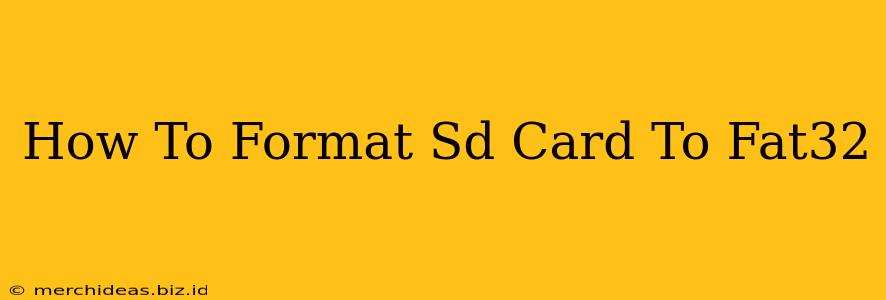 How To Format Sd Card To Fat32