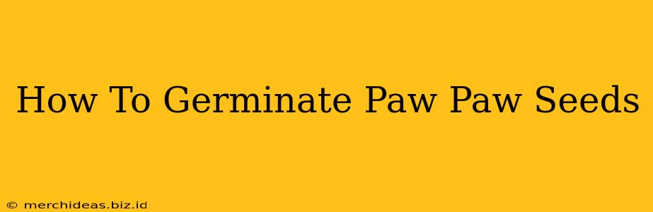 How To Germinate Paw Paw Seeds