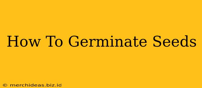 How To Germinate Seeds