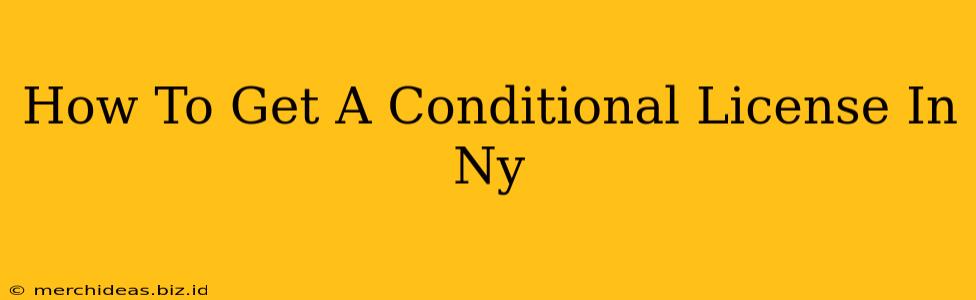 How To Get A Conditional License In Ny