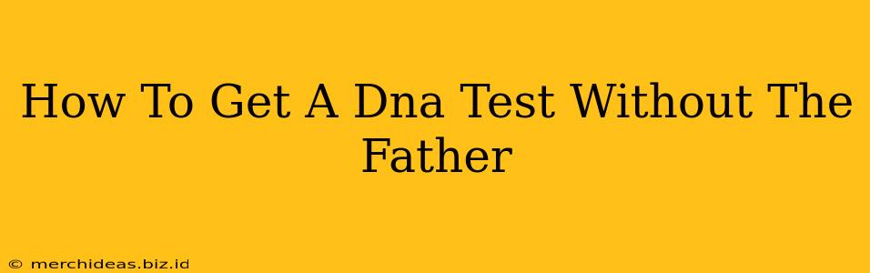 How To Get A Dna Test Without The Father