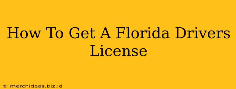 How To Get A Florida Drivers License