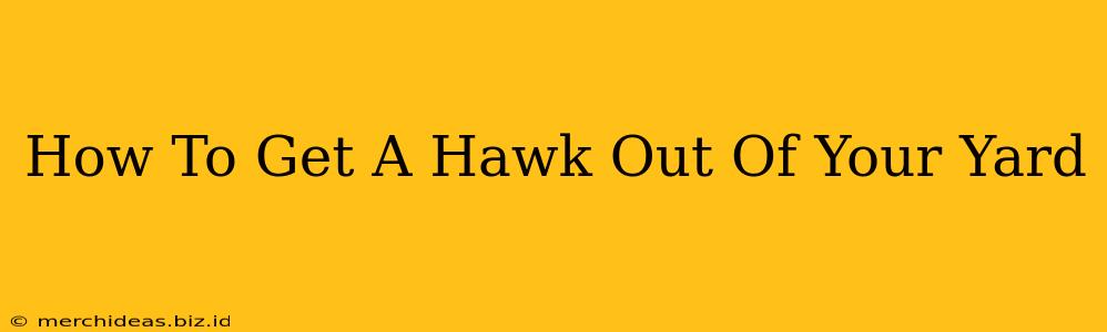 How To Get A Hawk Out Of Your Yard