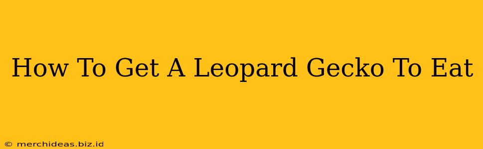 How To Get A Leopard Gecko To Eat