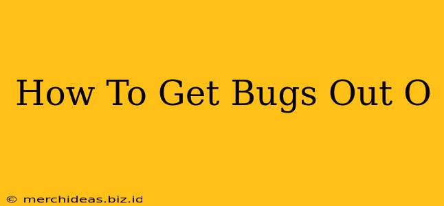 How To Get Bugs Out O