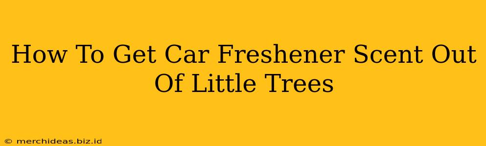 How To Get Car Freshener Scent Out Of Little Trees