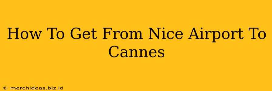 How To Get From Nice Airport To Cannes