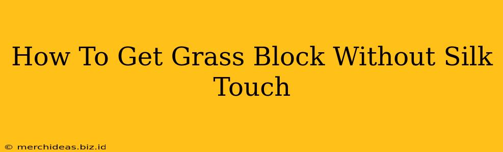 How To Get Grass Block Without Silk Touch