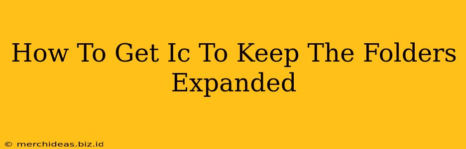 How To Get Ic To Keep The Folders Expanded