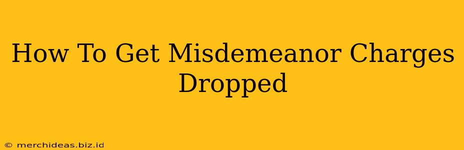 How To Get Misdemeanor Charges Dropped
