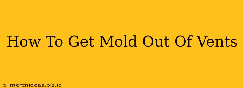 How To Get Mold Out Of Vents
