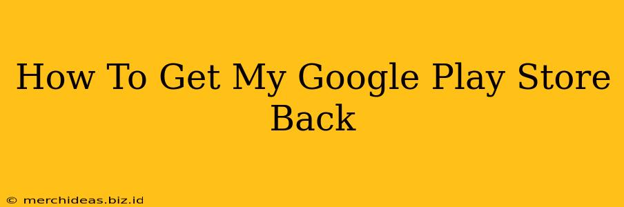 How To Get My Google Play Store Back