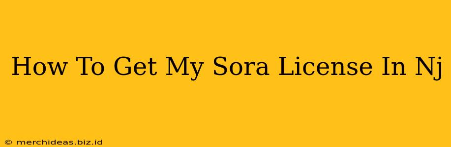 How To Get My Sora License In Nj