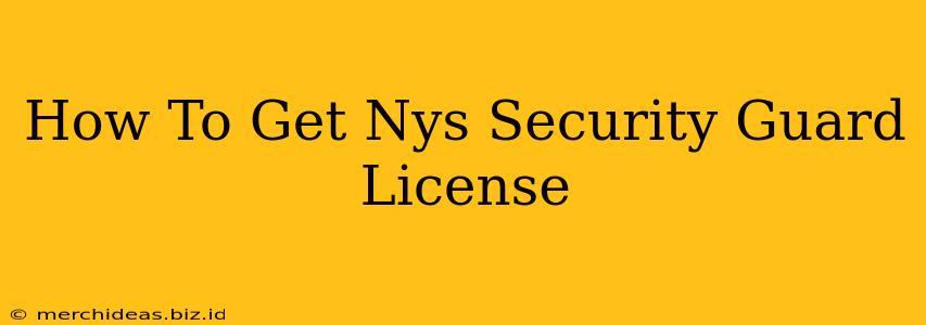 How To Get Nys Security Guard License