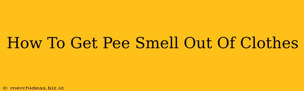 How To Get Pee Smell Out Of Clothes