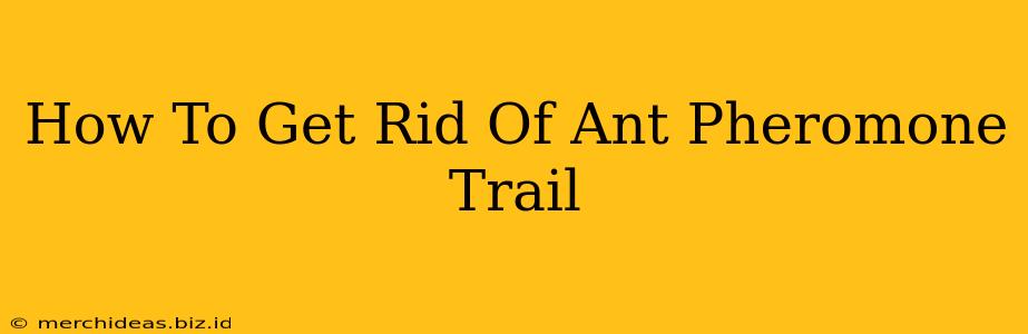 How To Get Rid Of Ant Pheromone Trail