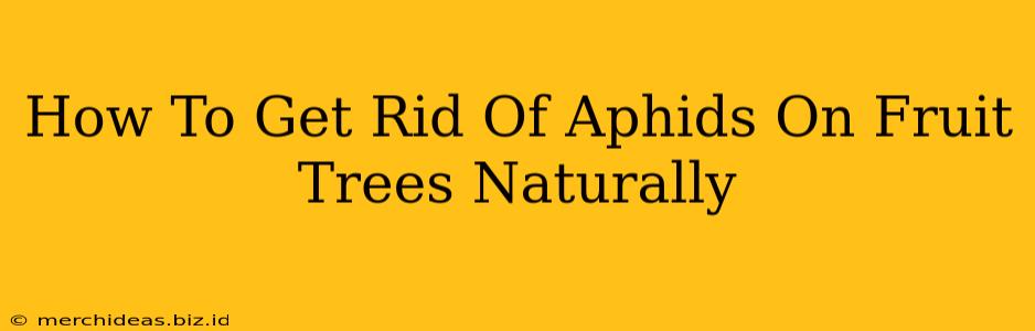 How To Get Rid Of Aphids On Fruit Trees Naturally