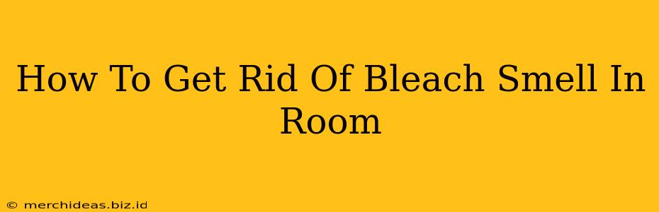 How To Get Rid Of Bleach Smell In Room