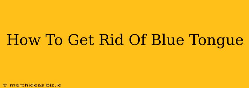 How To Get Rid Of Blue Tongue