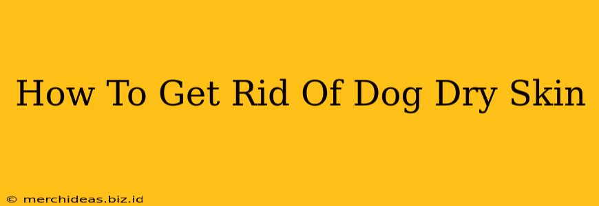 How To Get Rid Of Dog Dry Skin