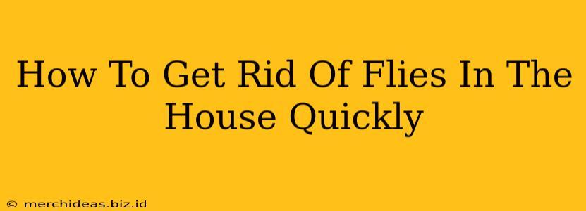 How To Get Rid Of Flies In The House Quickly