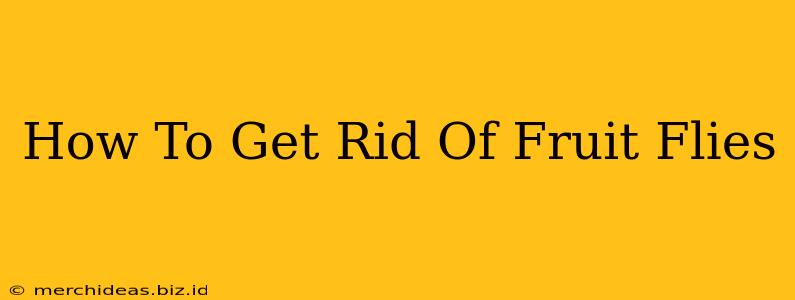 How To Get Rid Of Fruit Flies