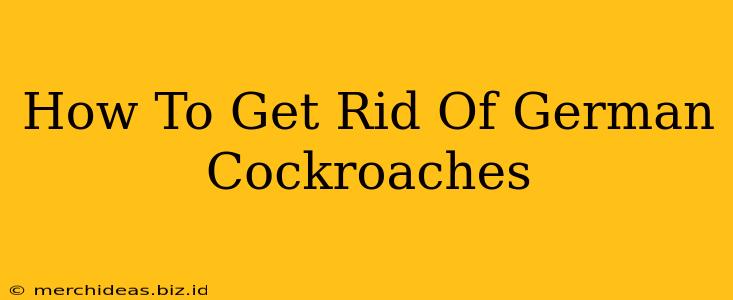 How To Get Rid Of German Cockroaches